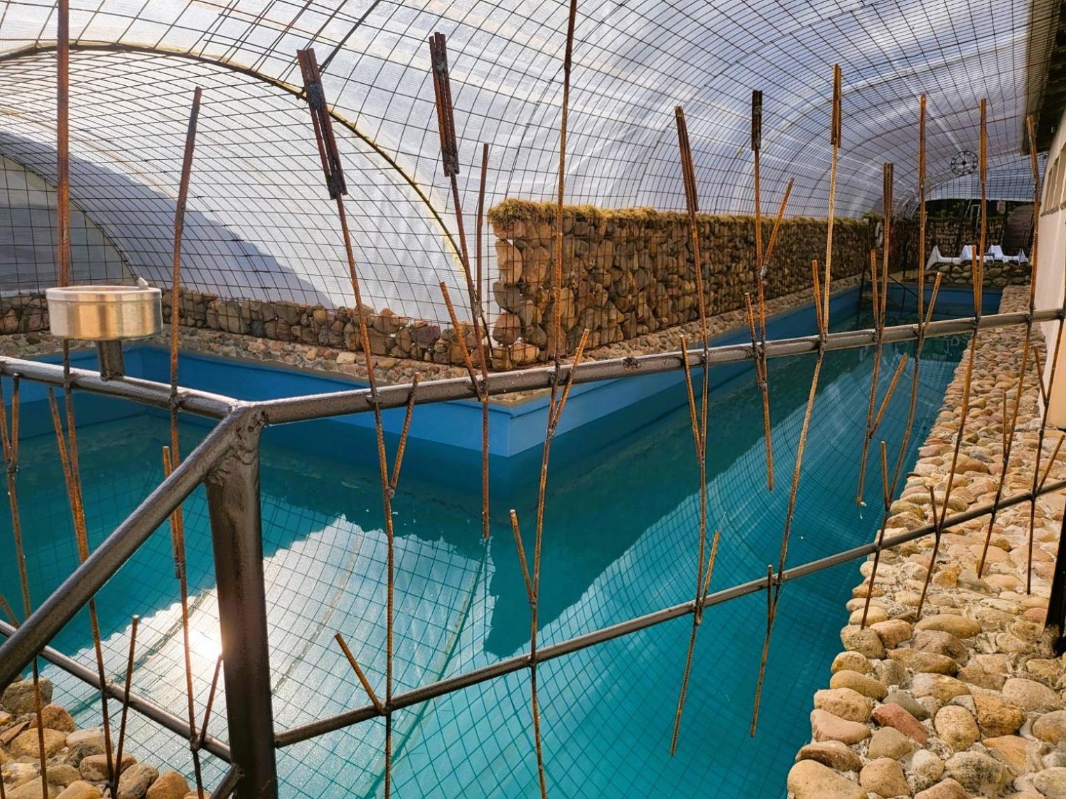 Hotel & Ferienpark Fleether Muehle ميرو المظهر الخارجي الصورة